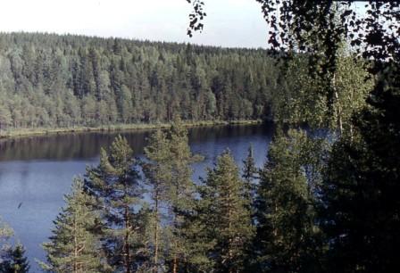img185.jpg
