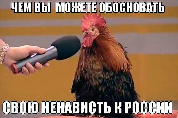 getImage-106.jpeg