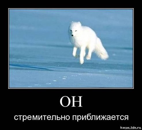 getImage-63.jpeg