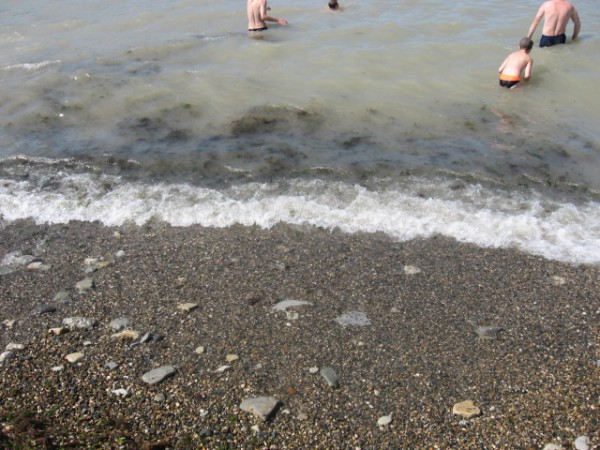 Море.jpg